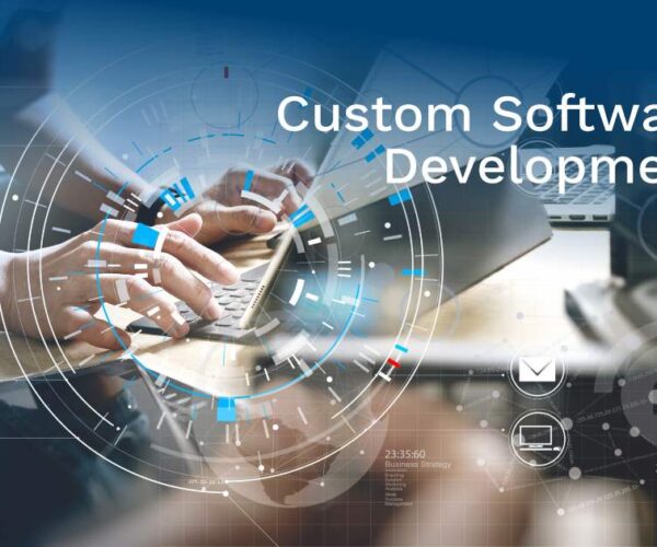custom software development