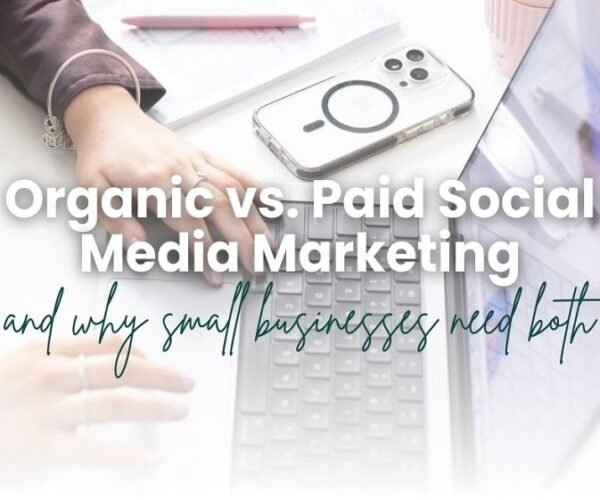 organic social media strategy
